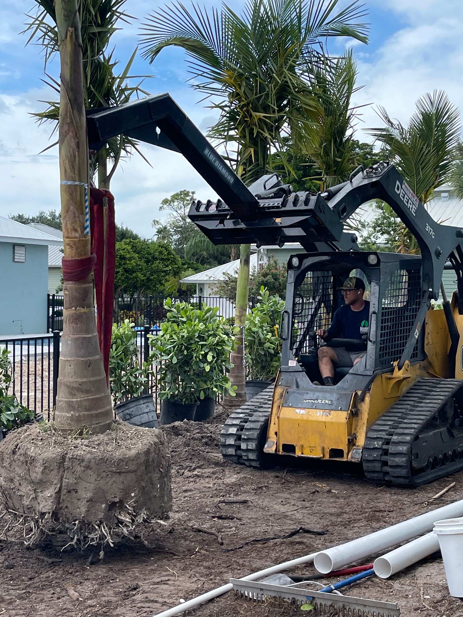 Peacock Landscape crew installing palms at a Sarasota County property