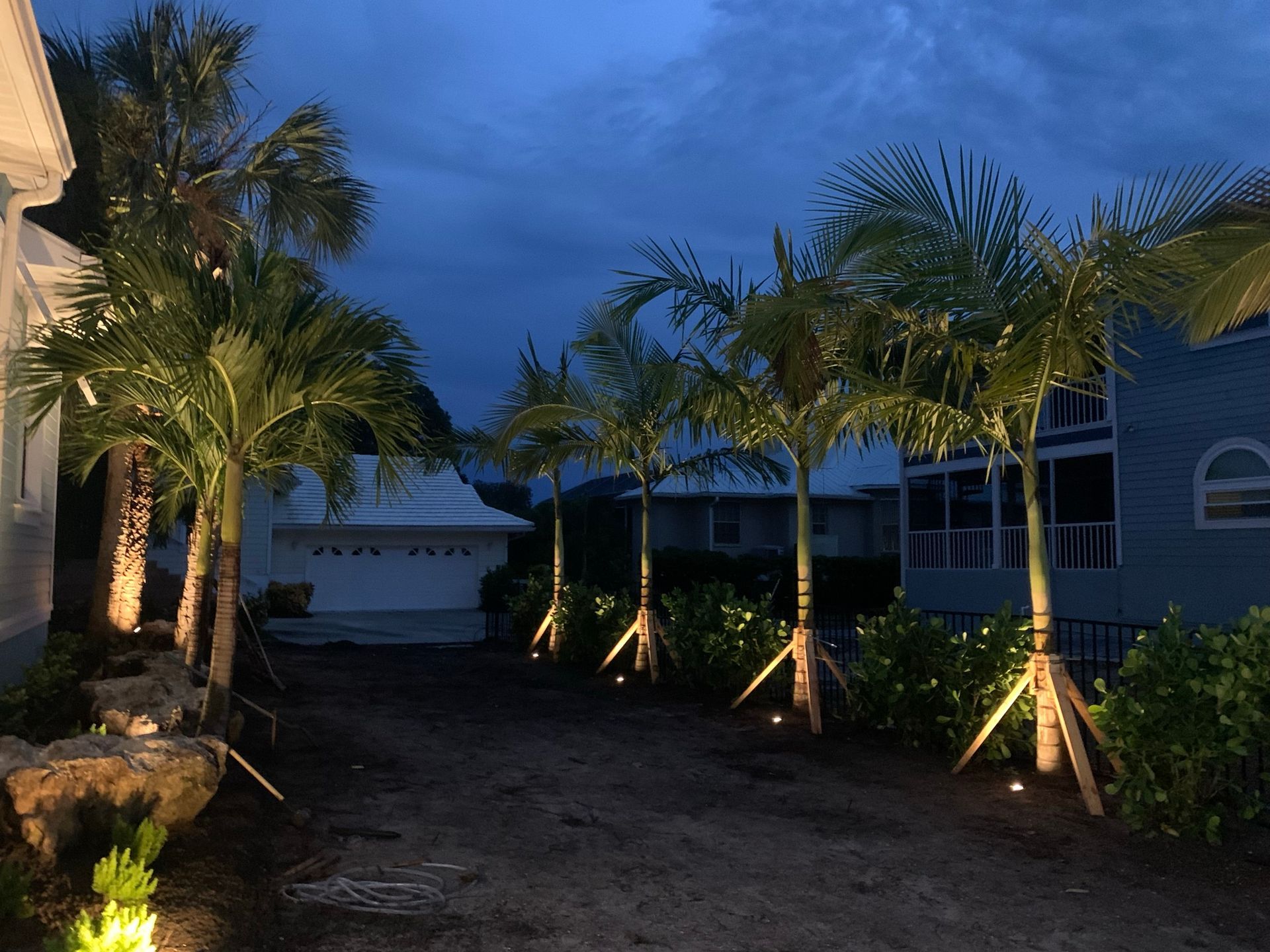 Custom landscape lighting installation with uplit palm trees at a waterfront Sarasota County property