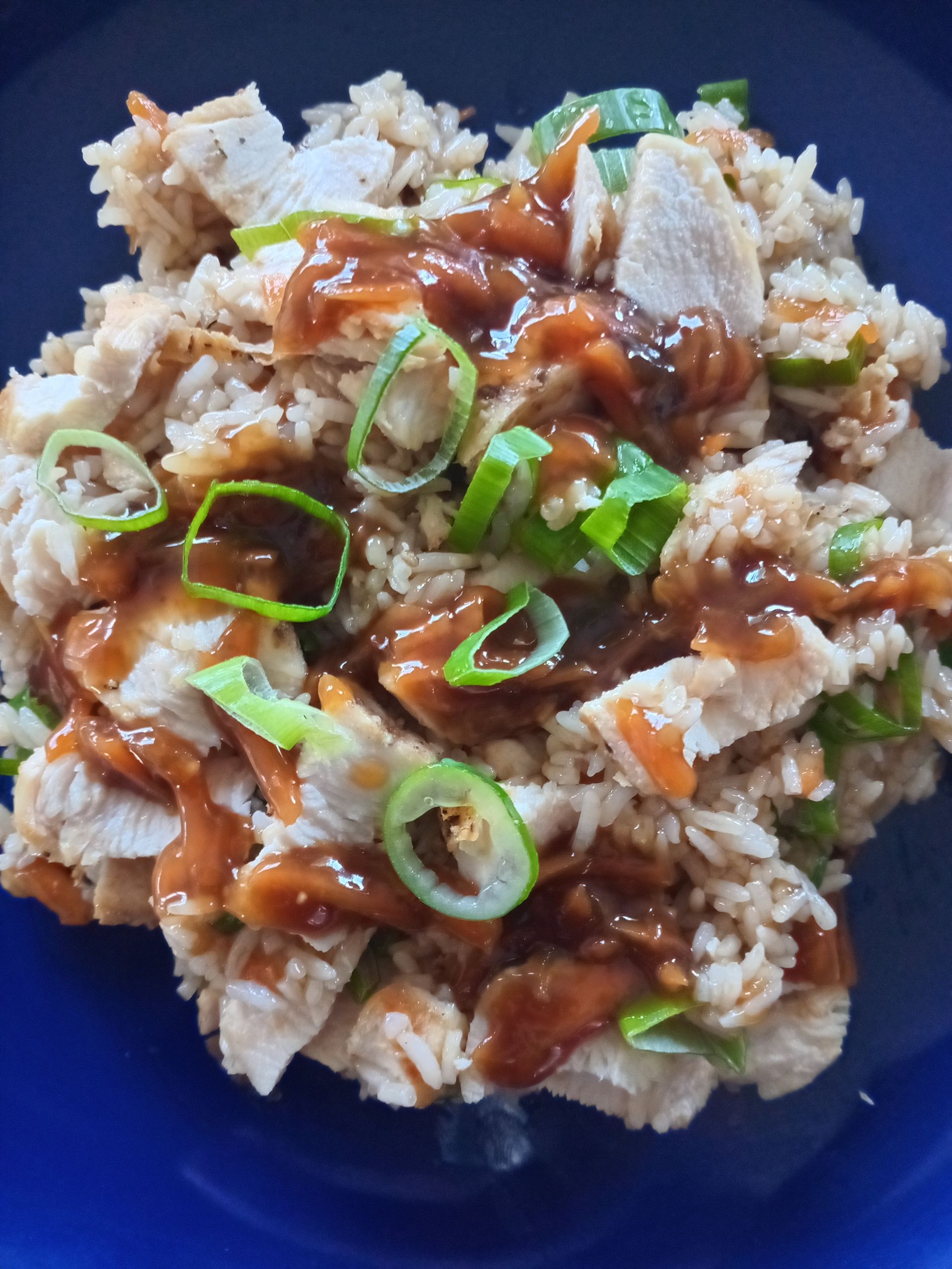 Chicken and rice bowl topped with sauce and green onions on a blue plate.