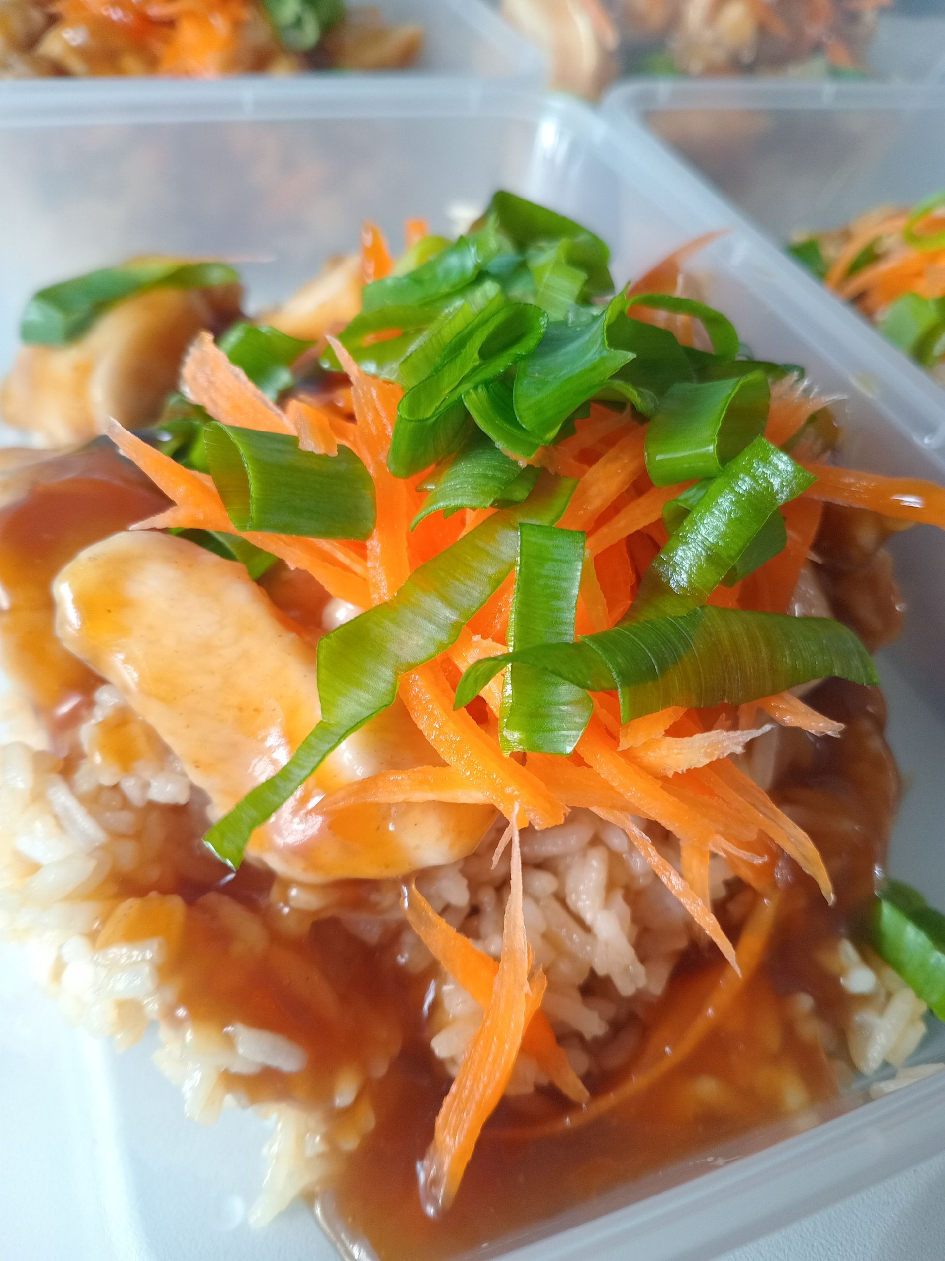 Chicken and rice dish with carrots and green onions in a plastic container.
