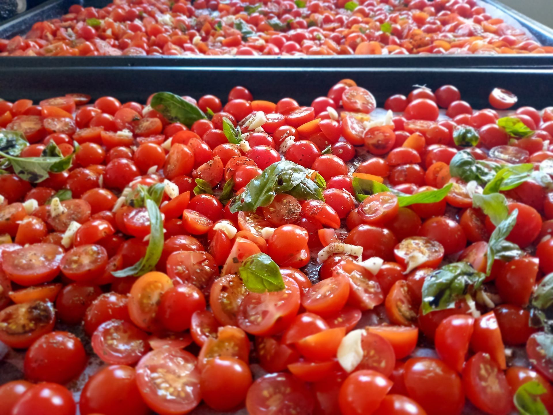 Red cherry tomatoes, halved, mixed with basil and garlic, spread on a baking sheet.
