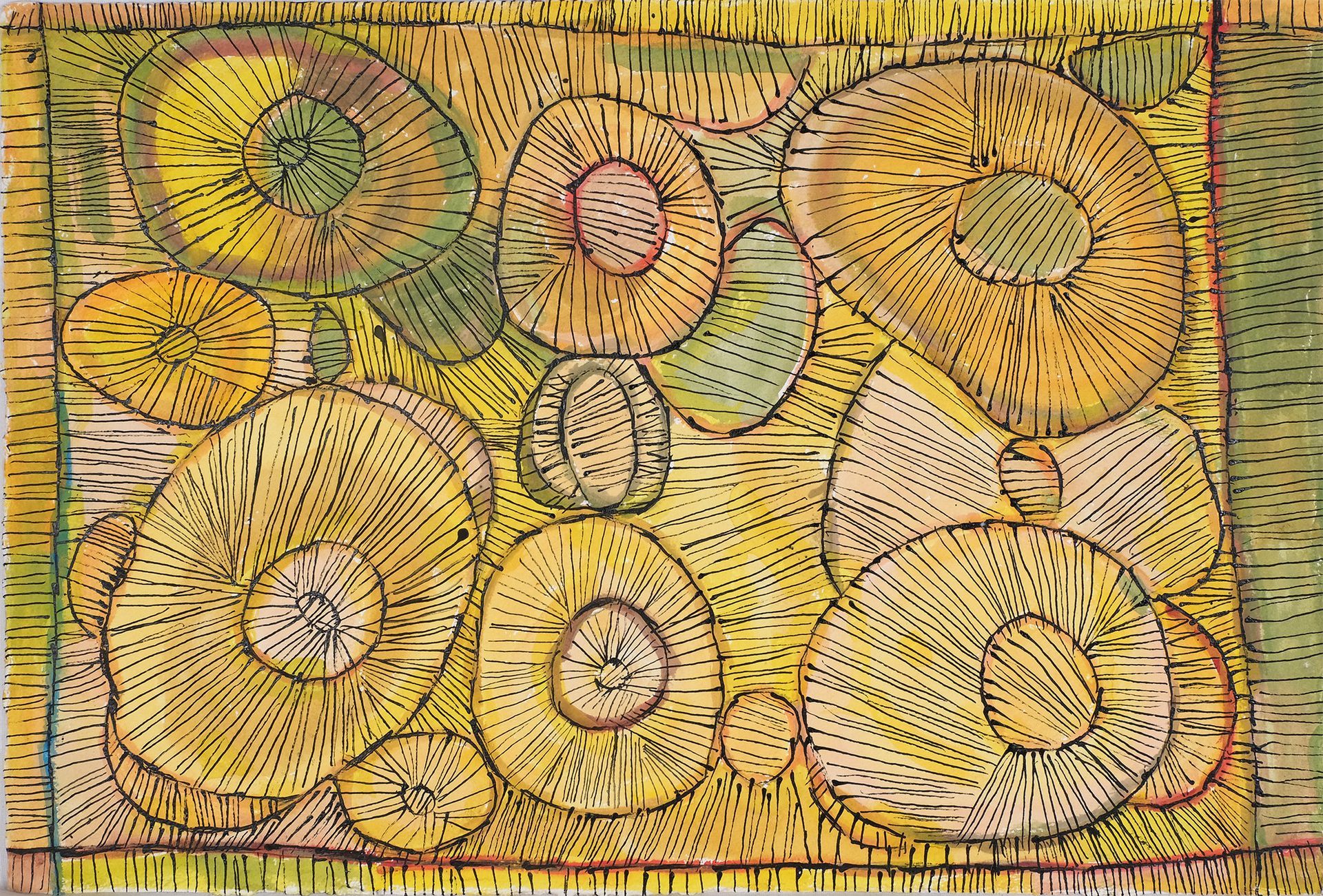 Estelle Munkanome, Malaritinga jilamara/ Lilly pad design, 2011. Watercolour on Arches paper.