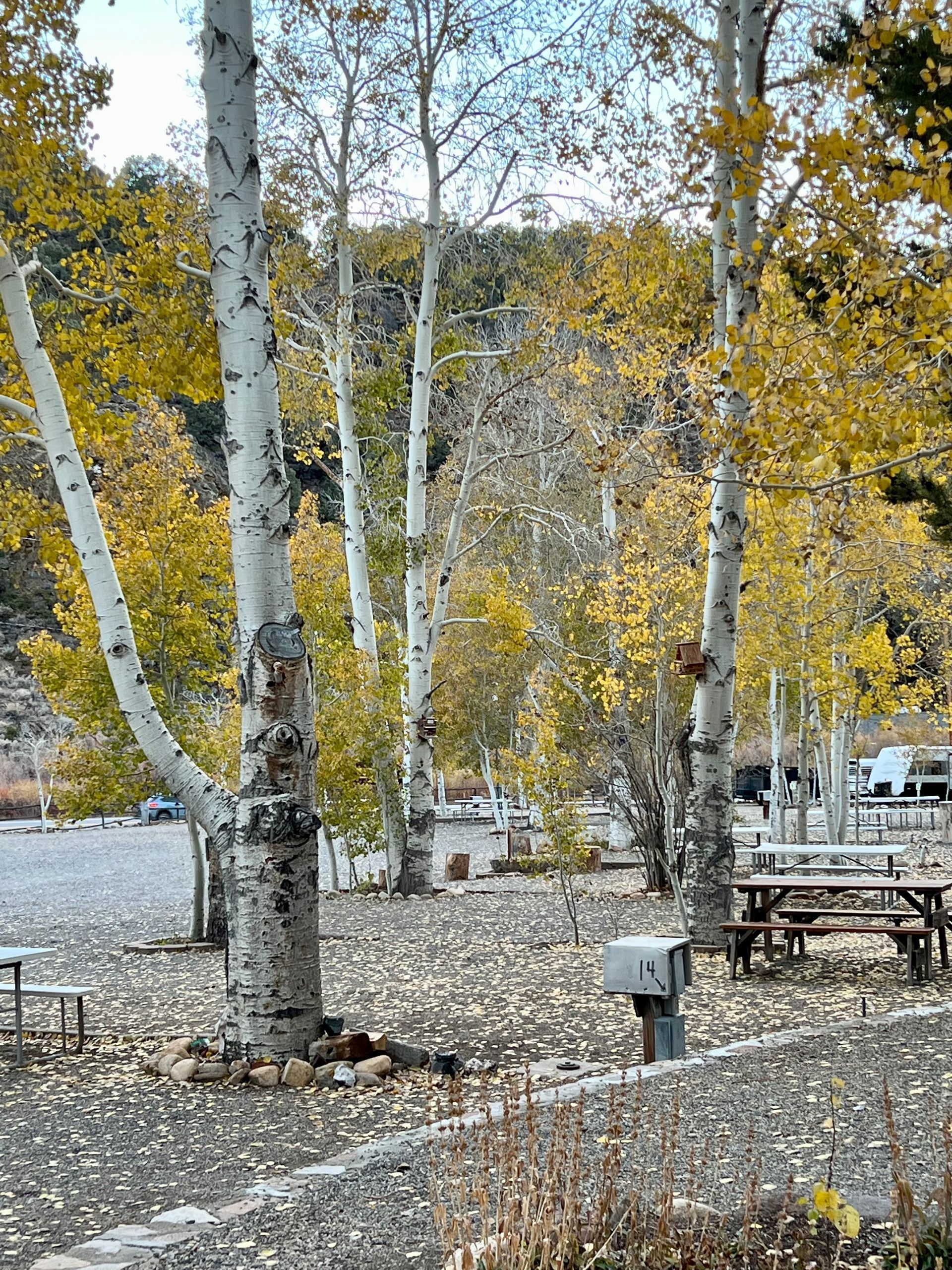 rv-park-in-the-fall