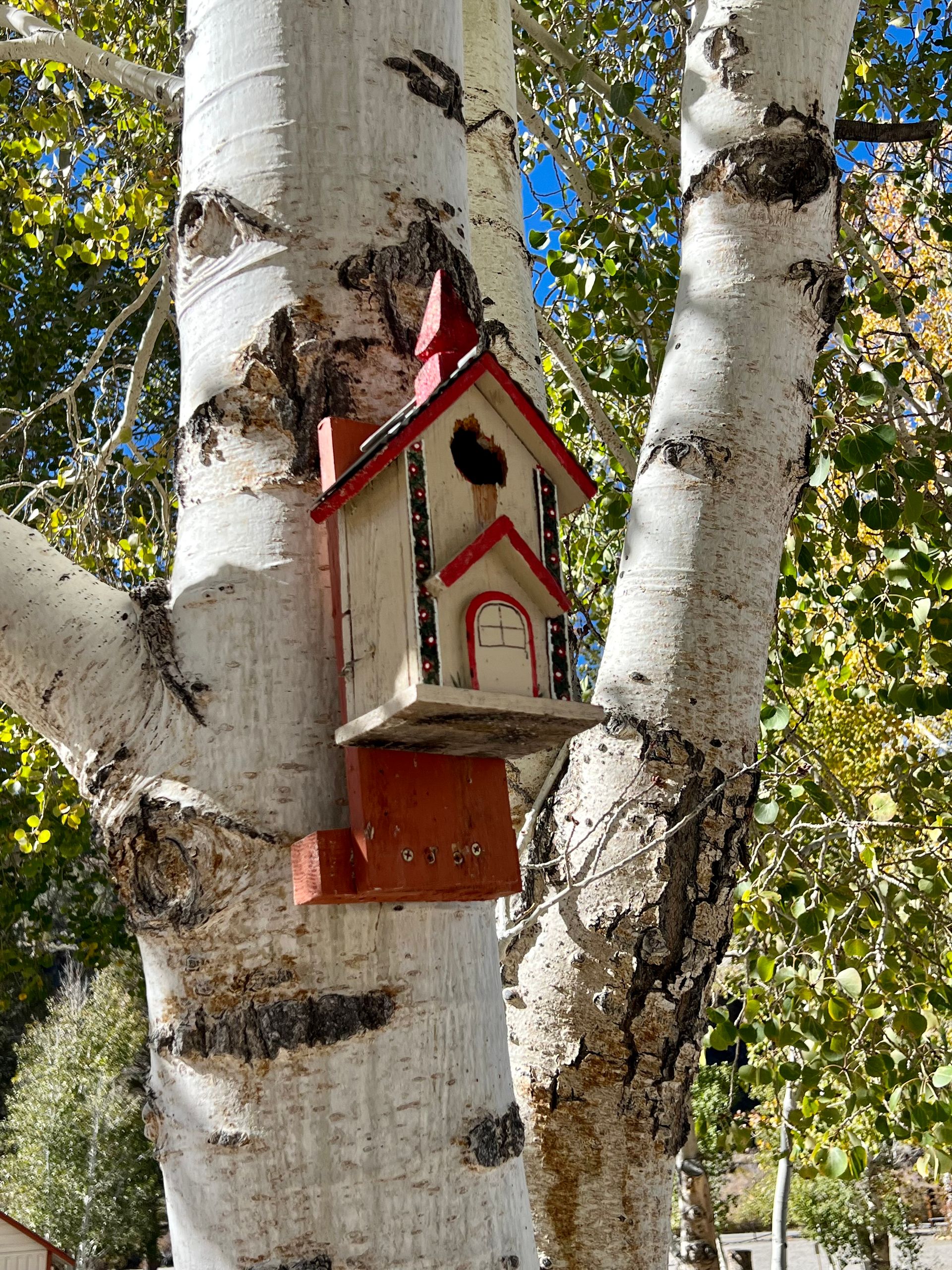 birdhouse-in-the-trees