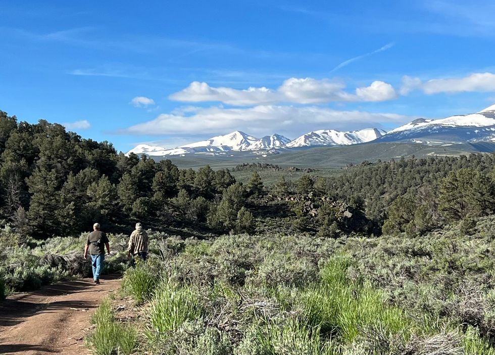 resort-sign-at-night