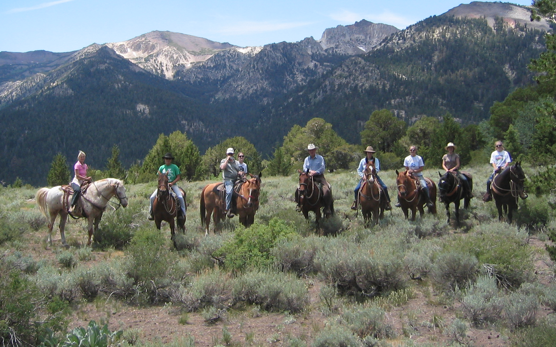 group-horseback-riding