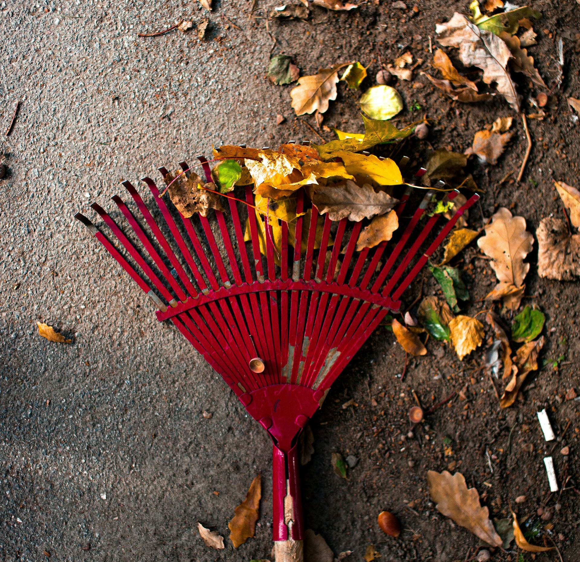A bathroom under construction with tiles on the floor and a window.