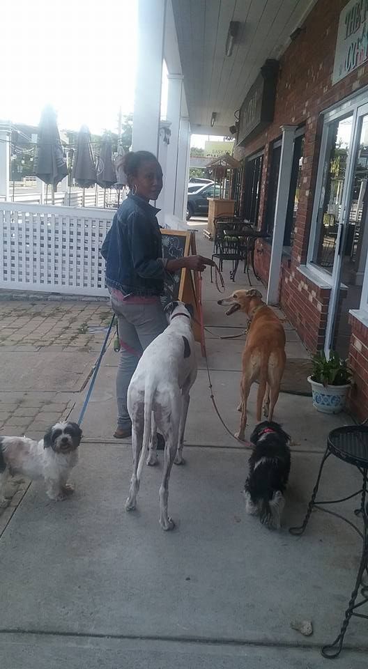 Personalized care for dogs under 40 pounds at The Furry Inn.