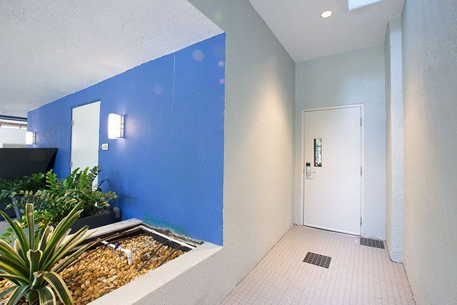 Hallway with blue wall and door. Planter with plants on the left, white walls and ceiling.