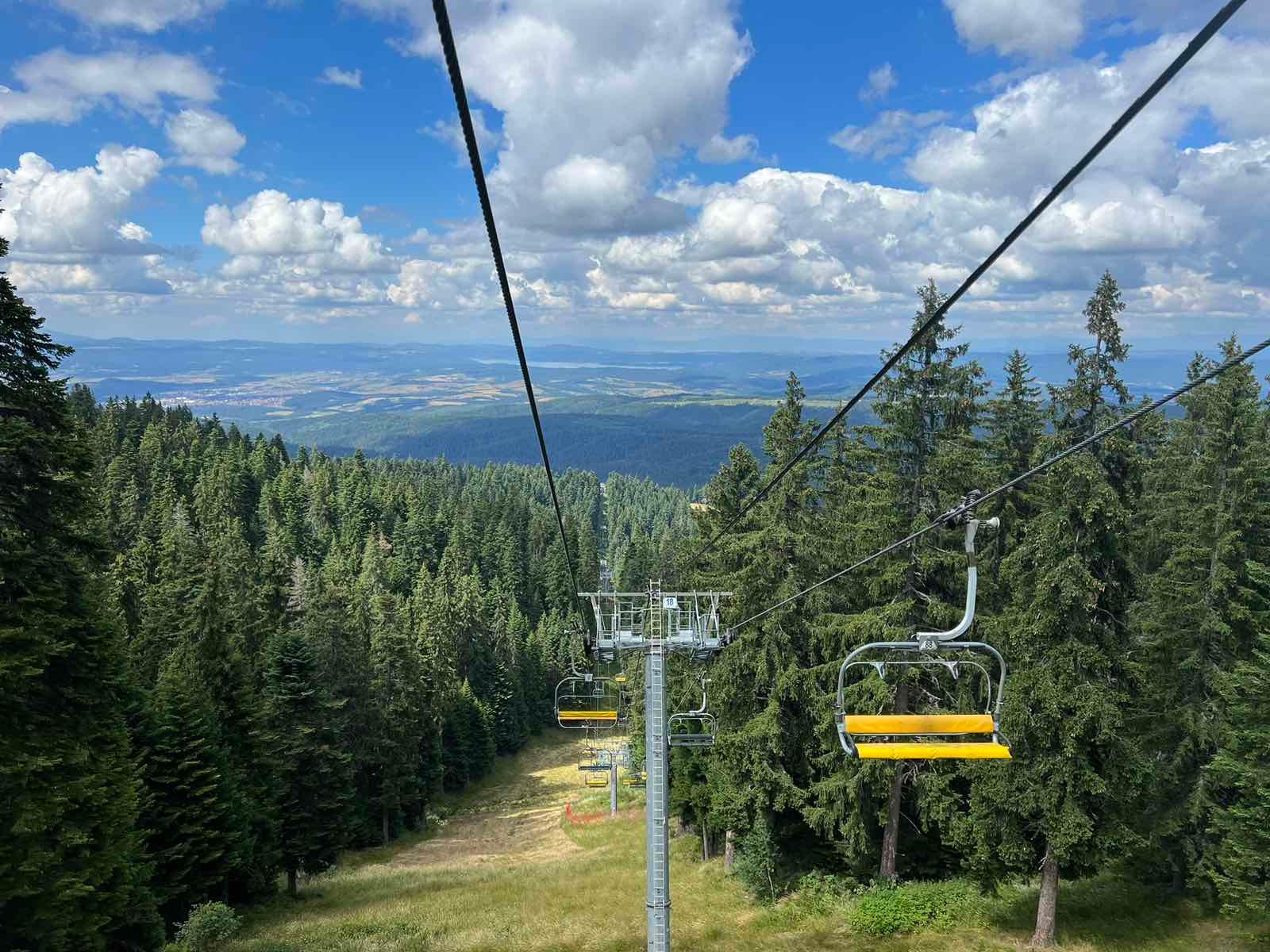 A ski lift is going up a hill surrounded by trees.