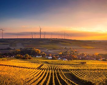 An aerial view of a vineyard at sunset with wind turbines in the background.