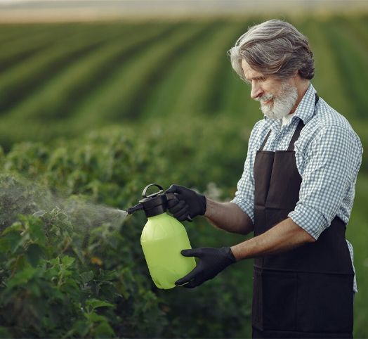 A man in an apron is spraying plants in a field.
