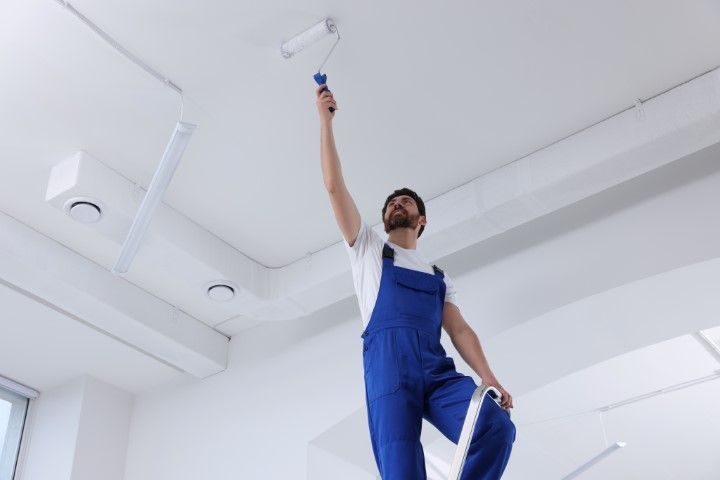 An image of Painting Repairs and Services
