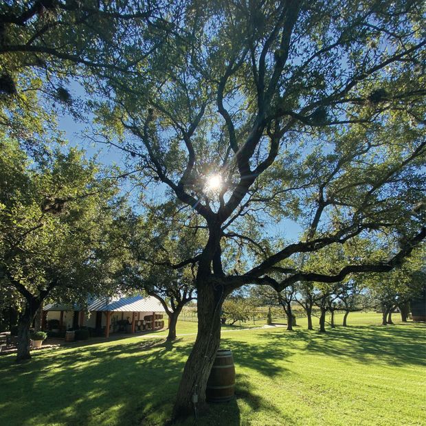 Stone House Sunlight on The Lawn