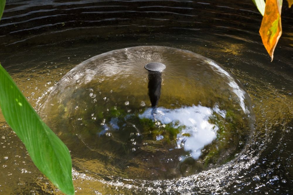 Fountain in Pond Creating a Water Bubble, With Green Leaves in View — Bennett's Servicing and Plumbing In South Nowra, NSW