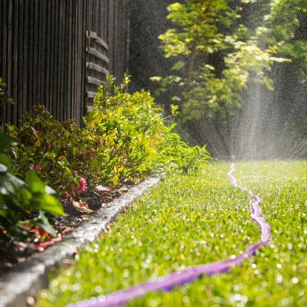 Sprinkler watering green lawn next to a wooden fence and shrubs. A purple hose runs across the grass. — Bennett's Servicing and Plumbing In South Nowra, NSW