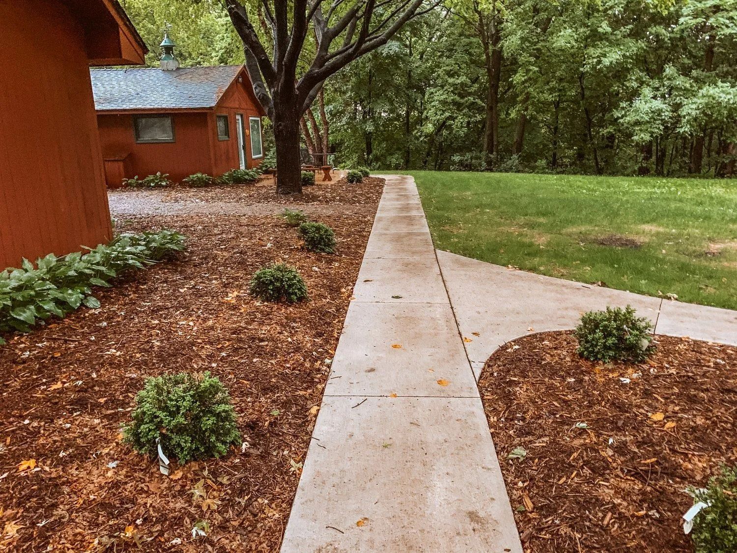 A concrete walkway bordered by mulch and shrubs leads to a red building with a forested background.
