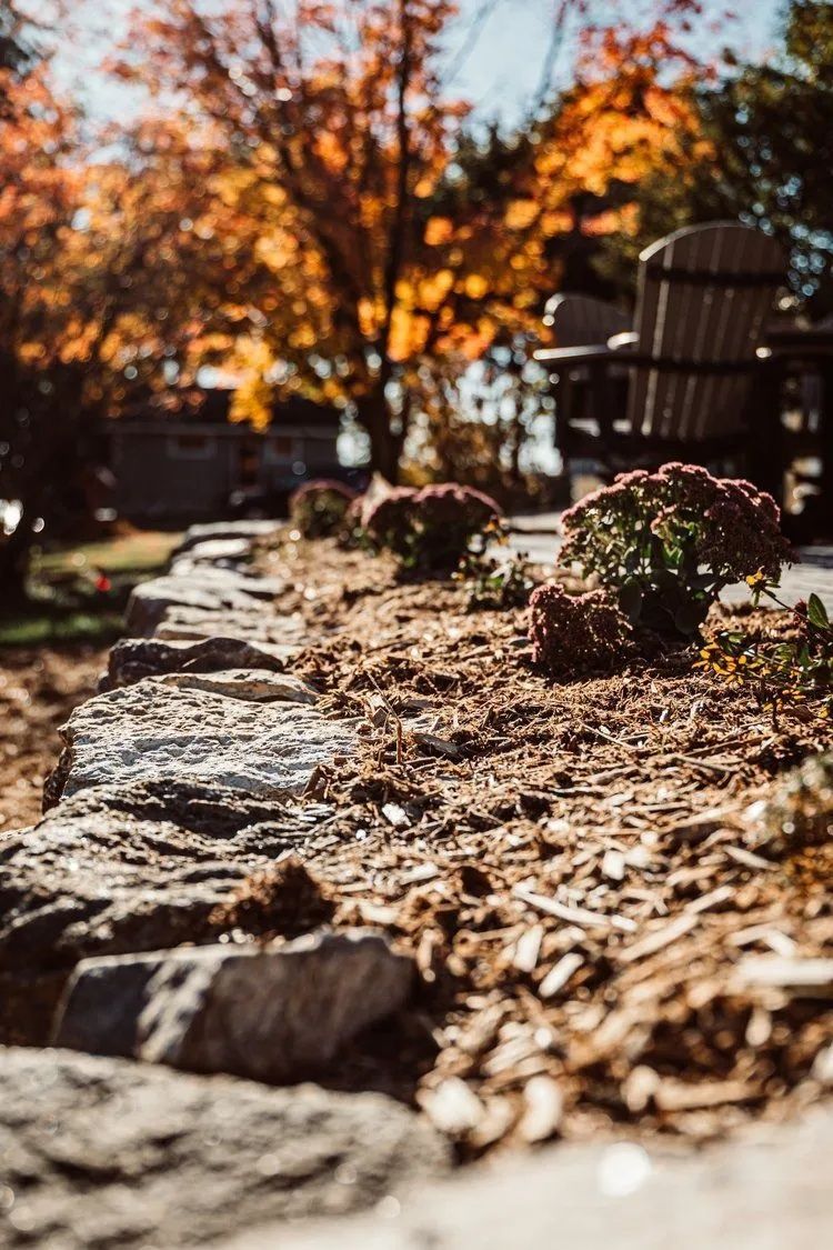 Stone retaining wall with brown mulch and fall flowers, trees with orange leaves in background.