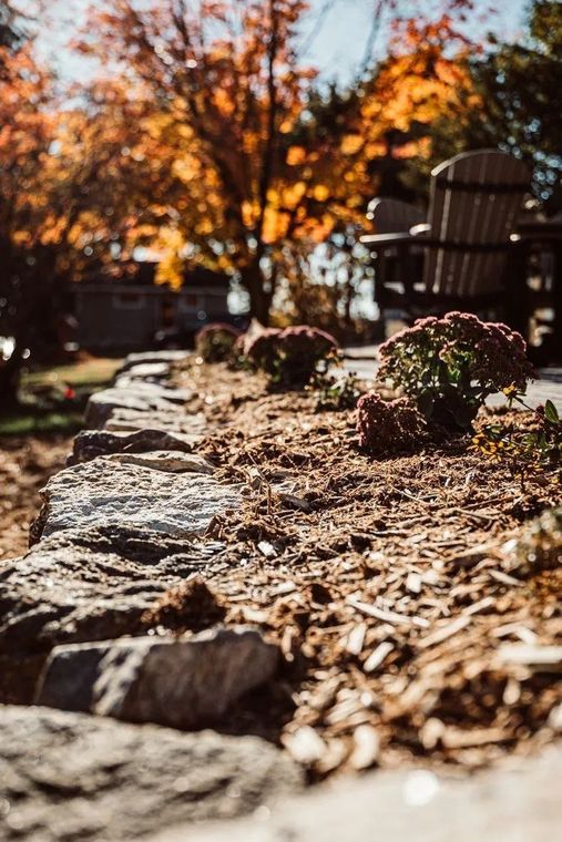 Stone retaining wall with brown mulch and fall flowers, trees with orange leaves in background.