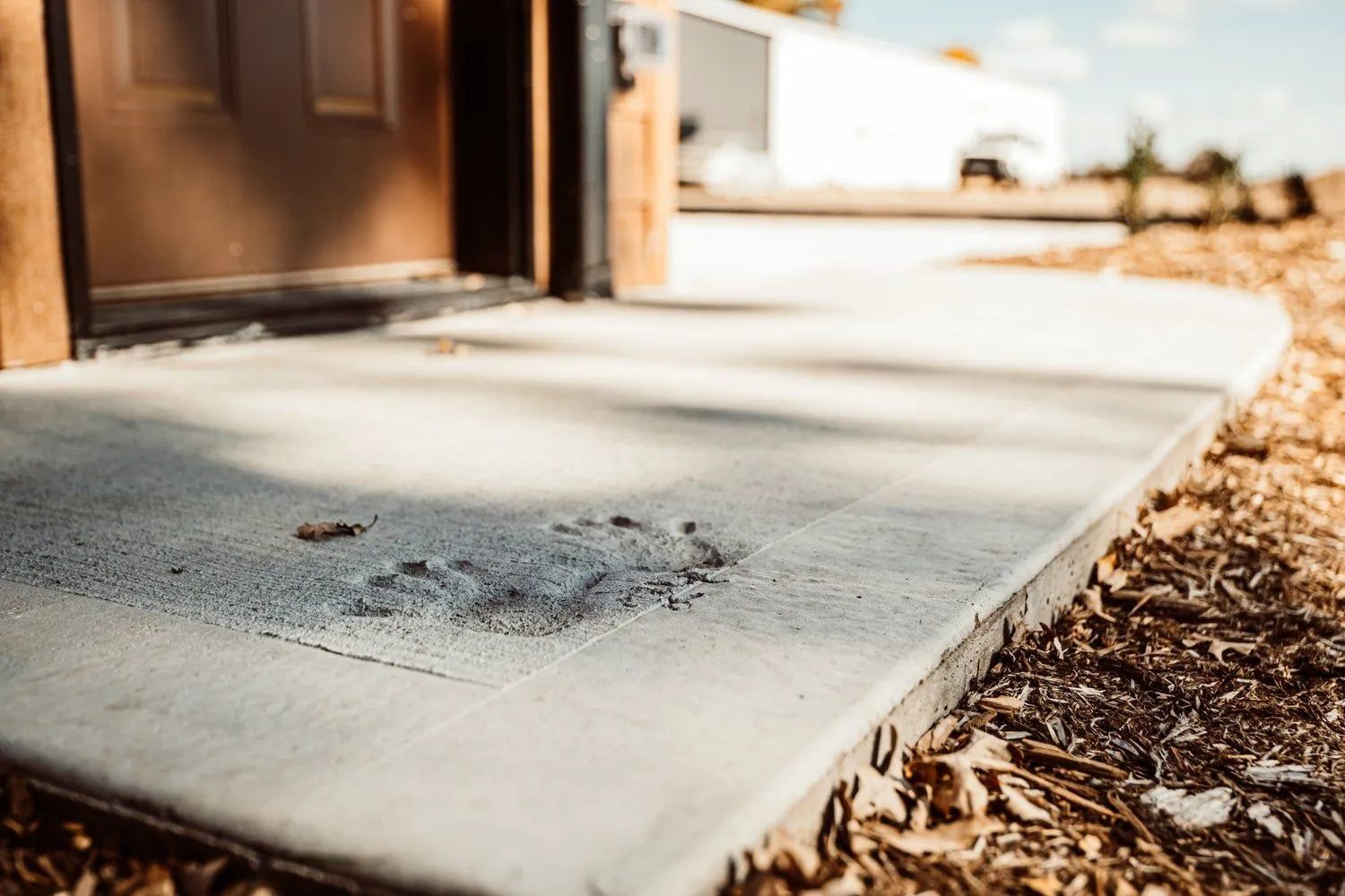 Concrete entryway with blurred paw print impressions.
