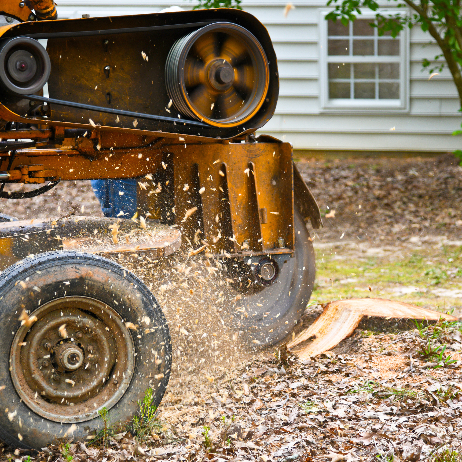 stump grinding service