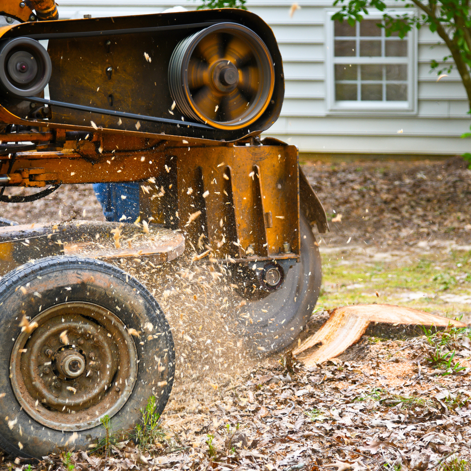 stump grinding service