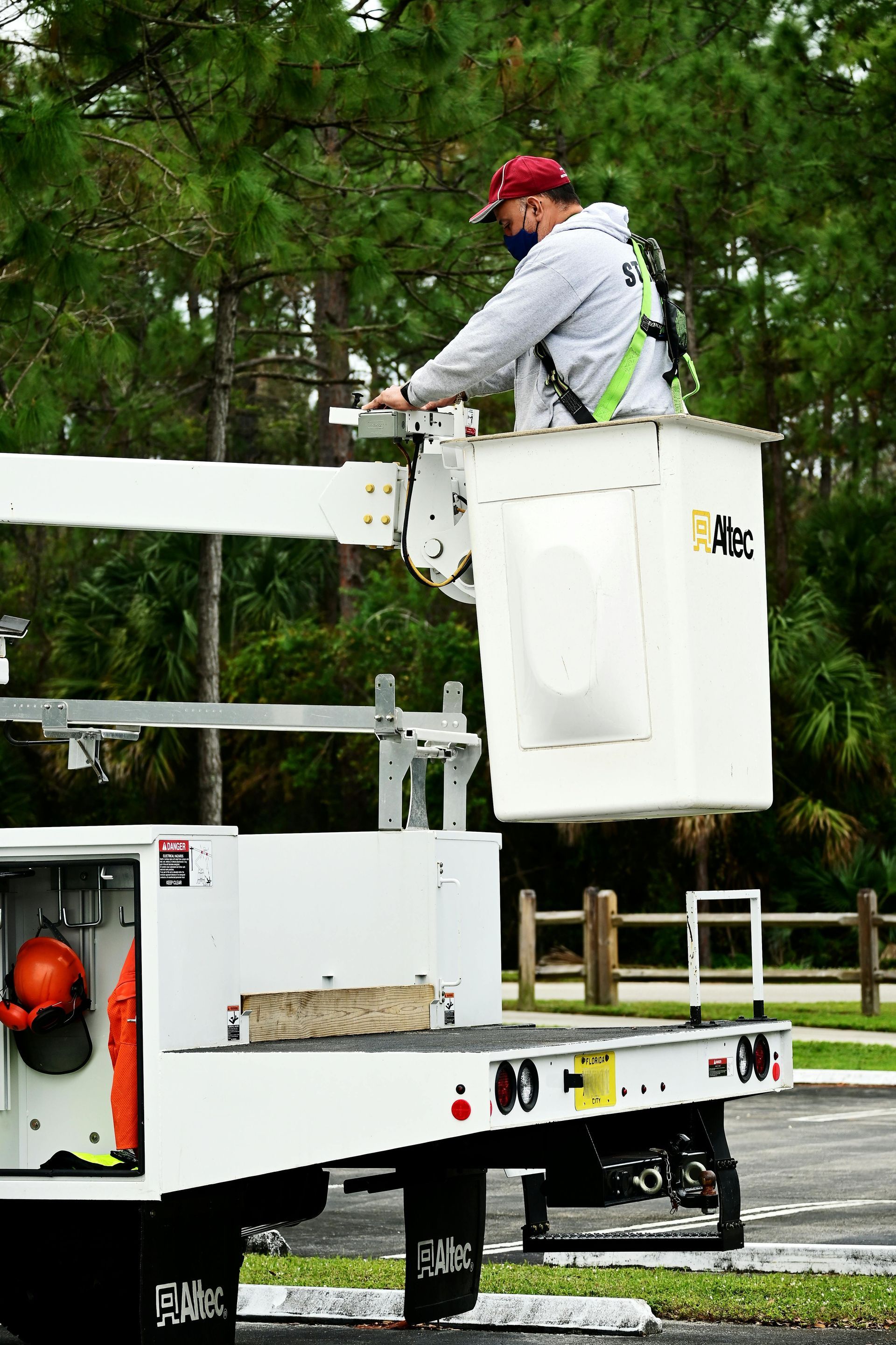 tree service company