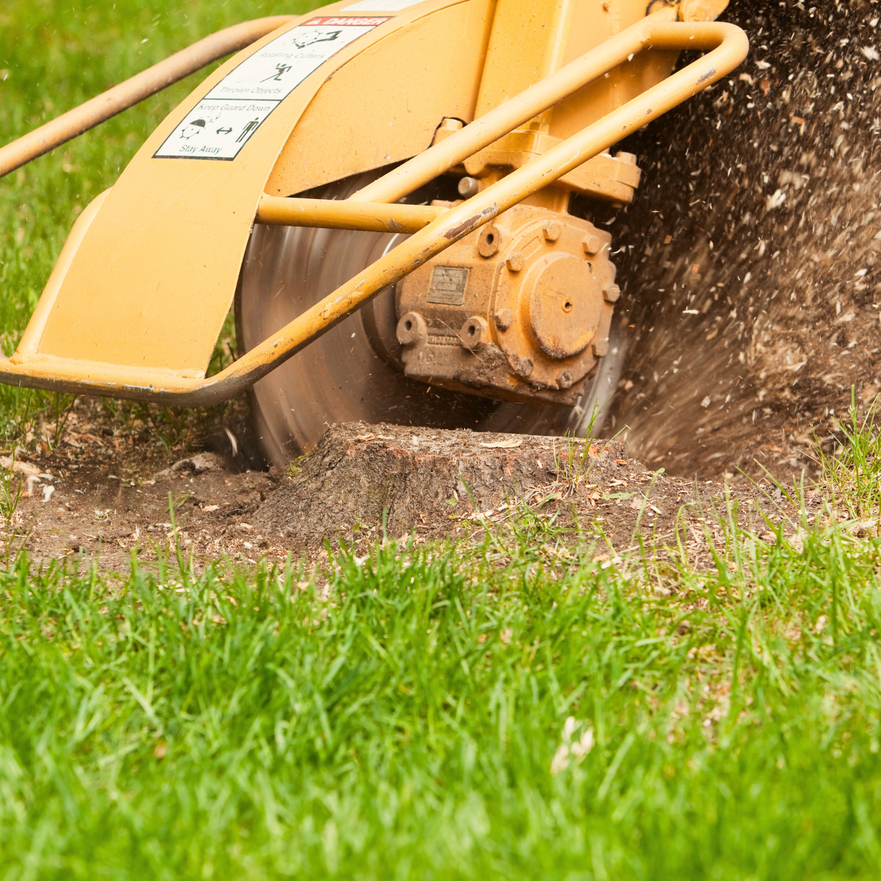 stump grinding