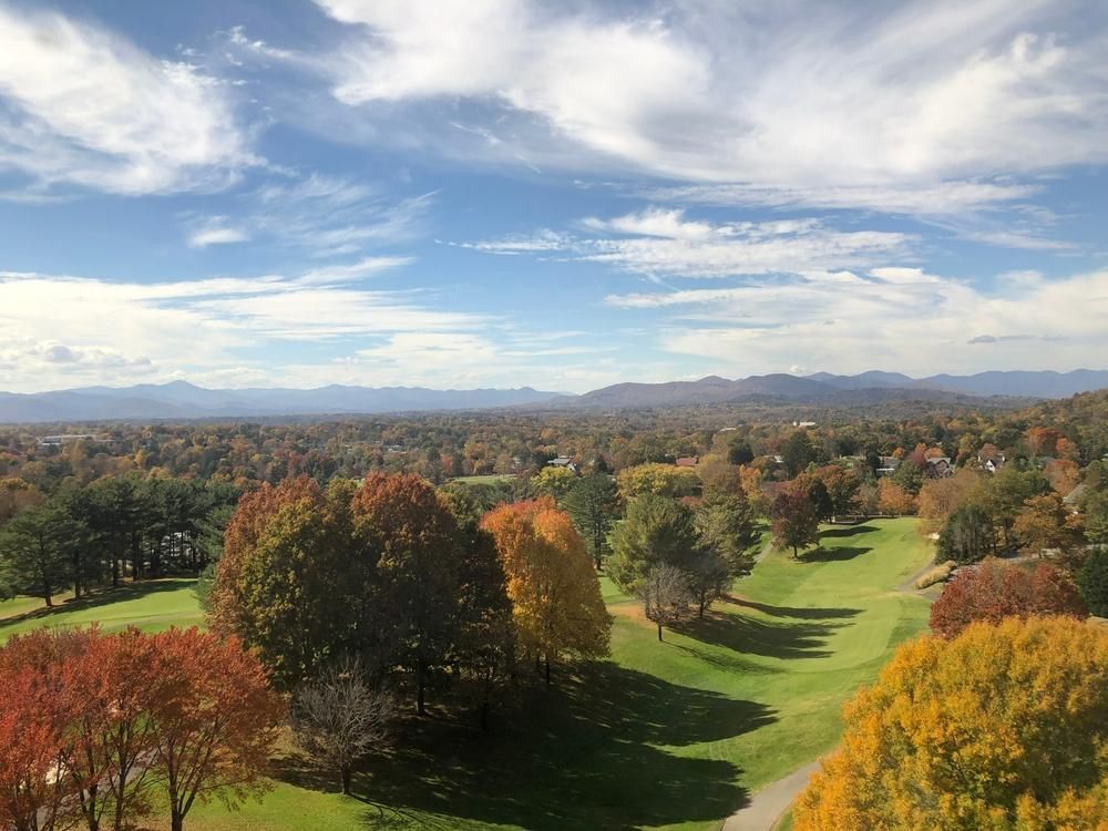 An Aerial View of a Golf Course Surrounded by Trees on a Sunny Day  — Bargara Removals in Innes Park, QLD