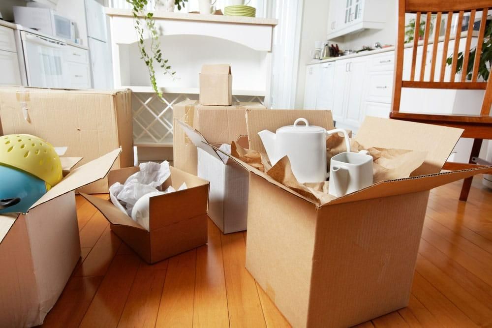 Living Room Filled With Cardboard Boxes and Moving Supplies — Bargara Removals in Rubyanna, QLD