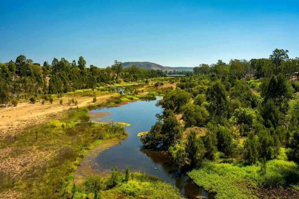River Surrounded by Trees and Grass on a Sunny Day — Bargara Removals in Gayndah, QLD