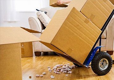 Person is Moving Boxes on a Dolly in a Living Room — Bargara Removals in Rubyanna, QLD