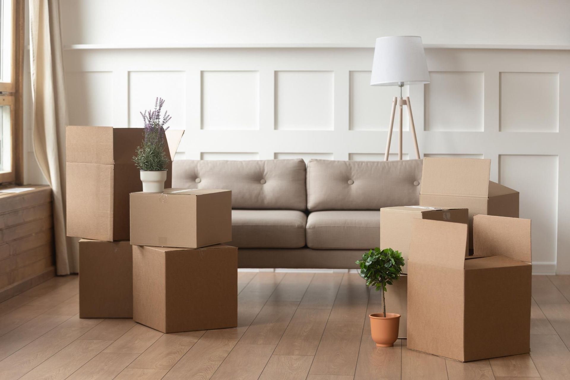 Living Room Filled With Cardboard Boxes and a Couch — Bargara Removals in Hervey Bay, QLD