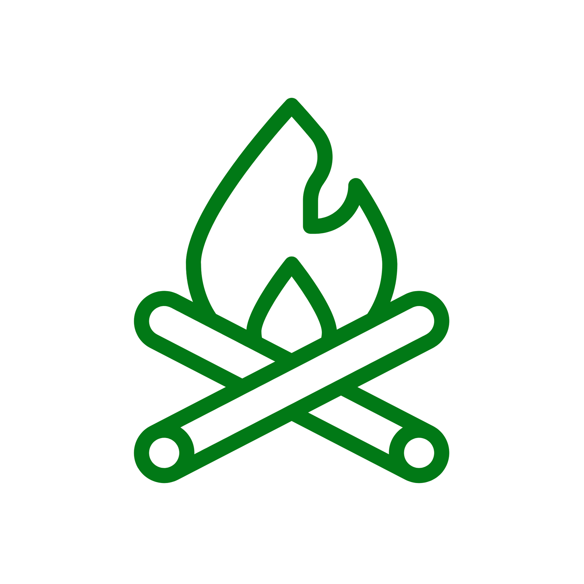 A green line icon of a campfire with crossed logs and a flame.