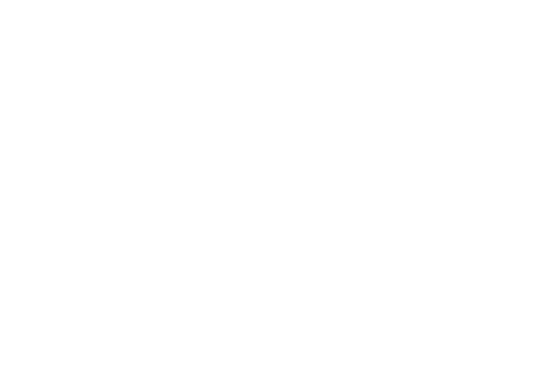 SecuriGroup logo white