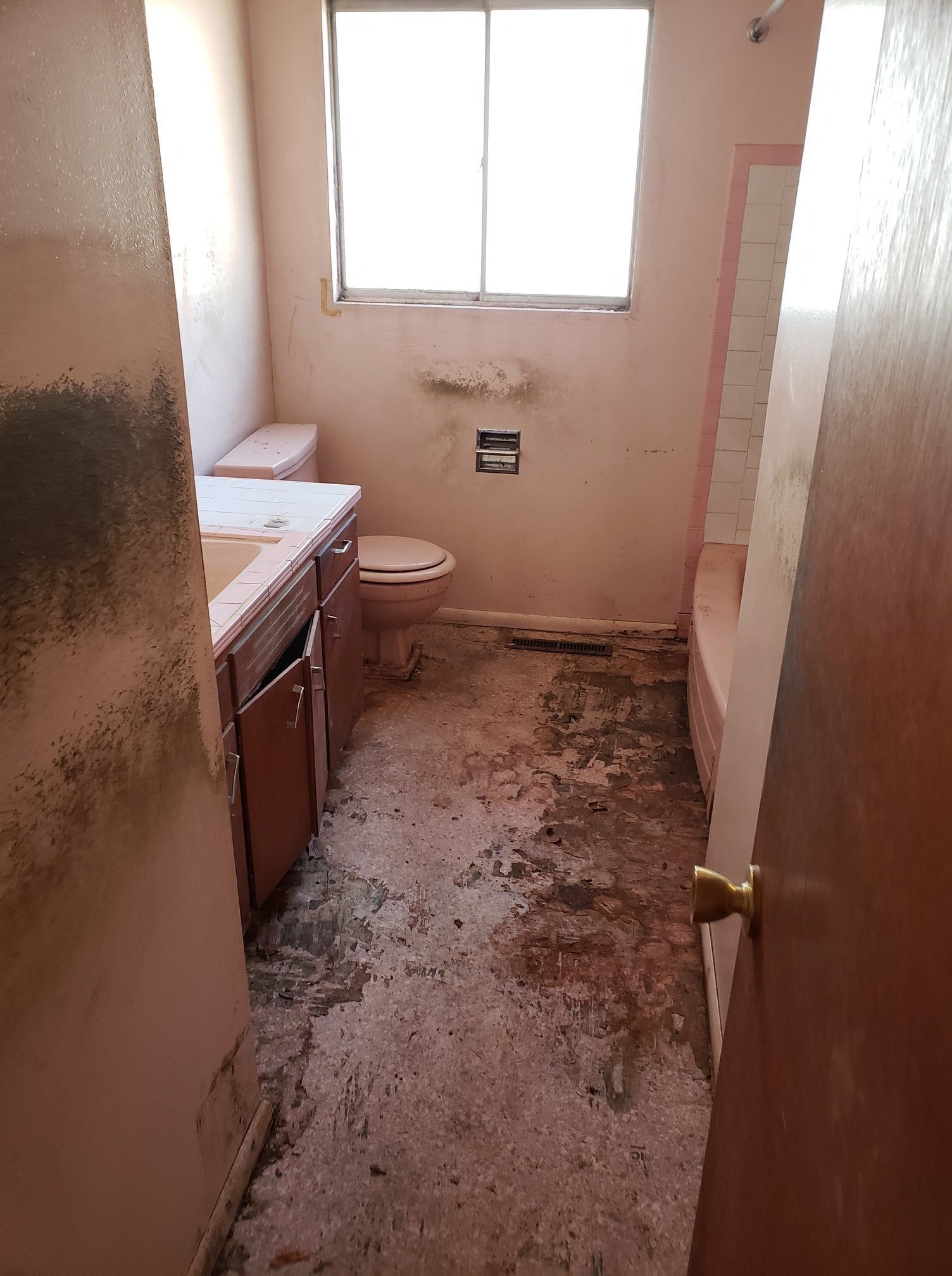 A bathroom with a toilet , sink , and shower.