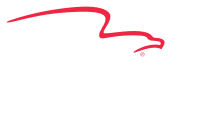 american financial logo | Evolution Motors