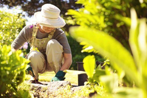 Female Gardener — Landscaping in St. Auburn, MA