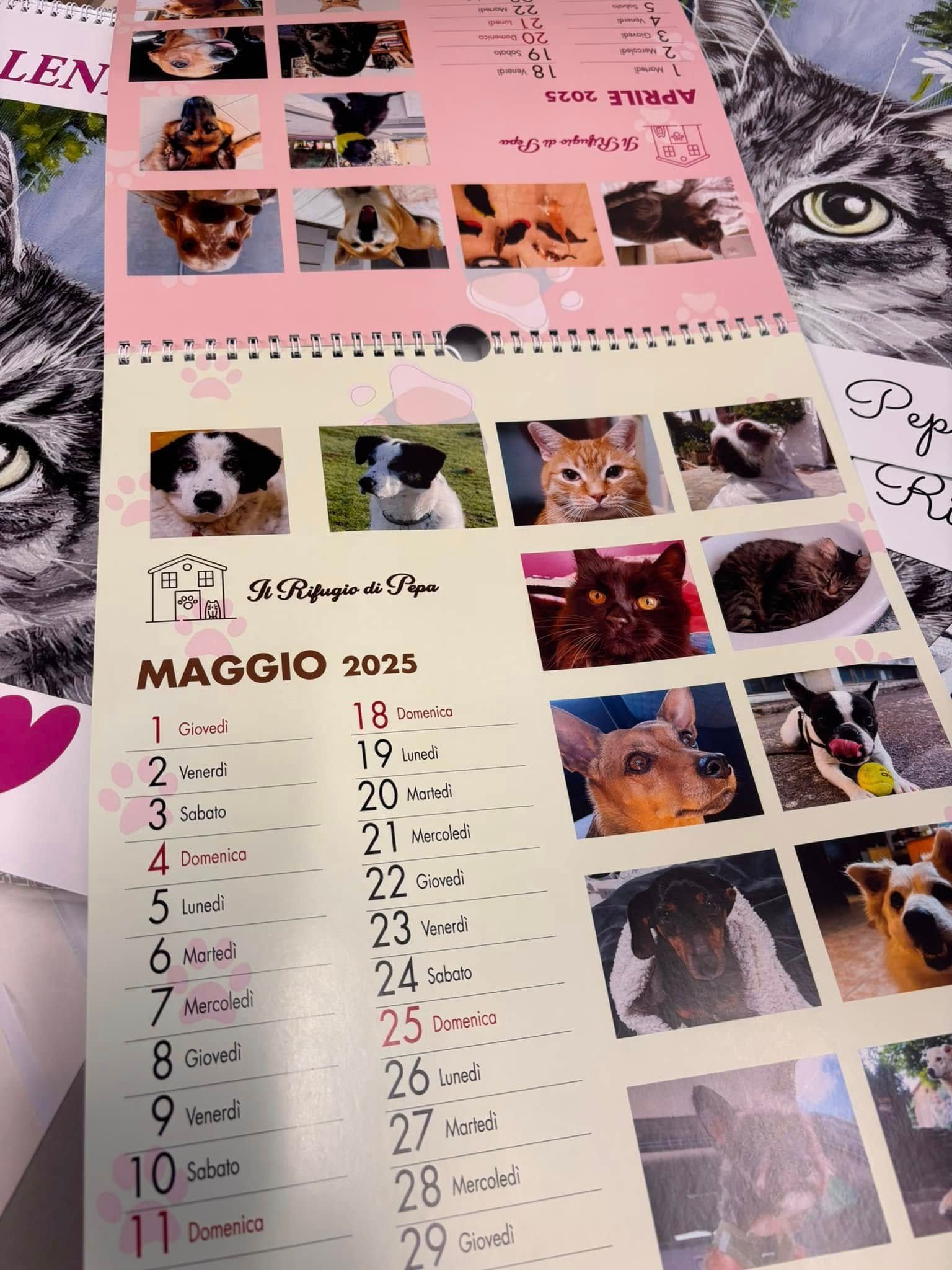 Un calendario da parete per maggio 2025. Presenta foto di cani e gatti su sfondo rosa.
