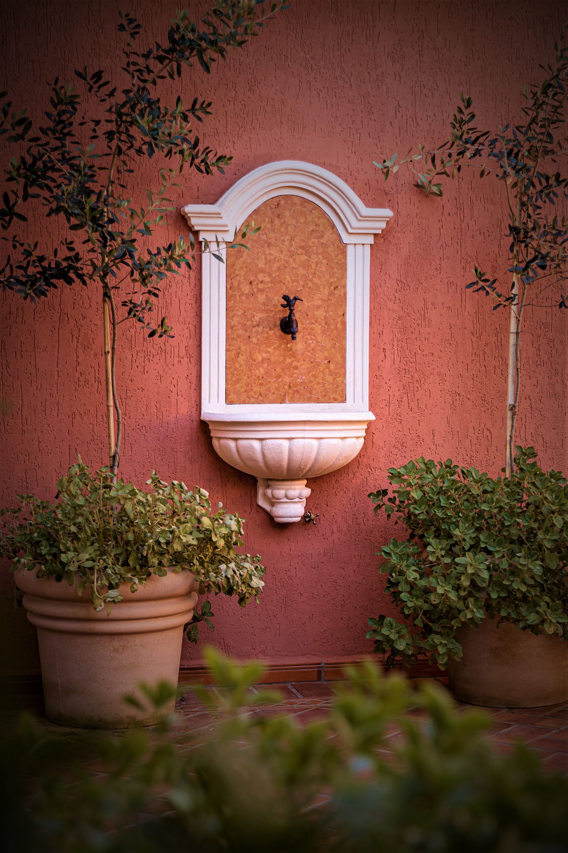 Fuente de pared con marco decorativo blanco, pared de terracota, flanqueada por plantas y árboles en macetas.