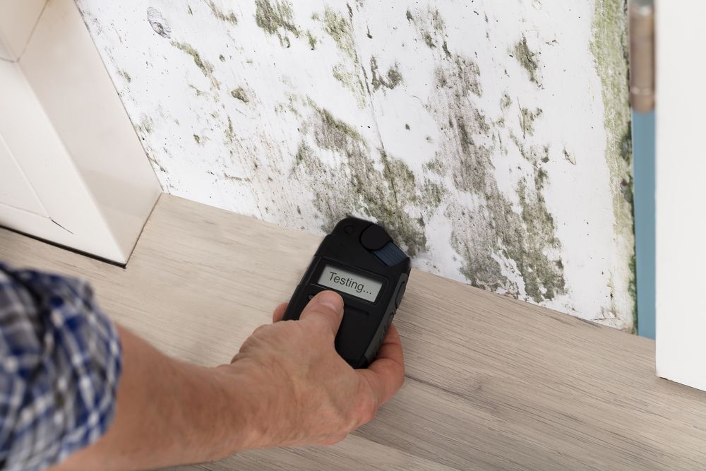 Person using a moisture meter on a wall with mold in a corner of a room.