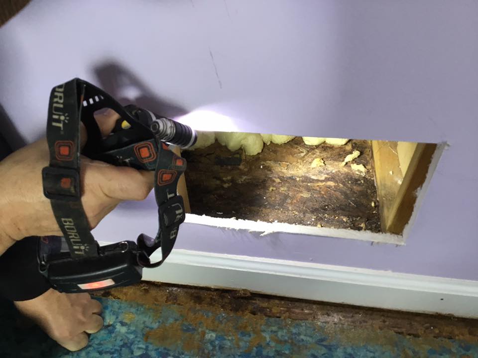 A person is holding a flashlight over a hole in the wall.