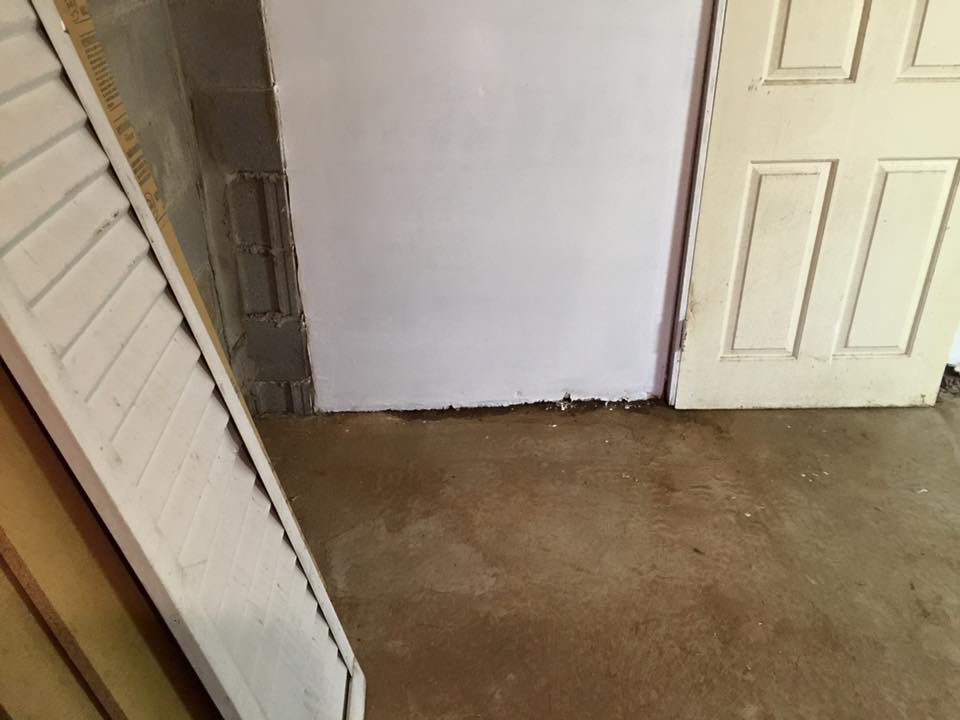 A room with a white door and a brown floor