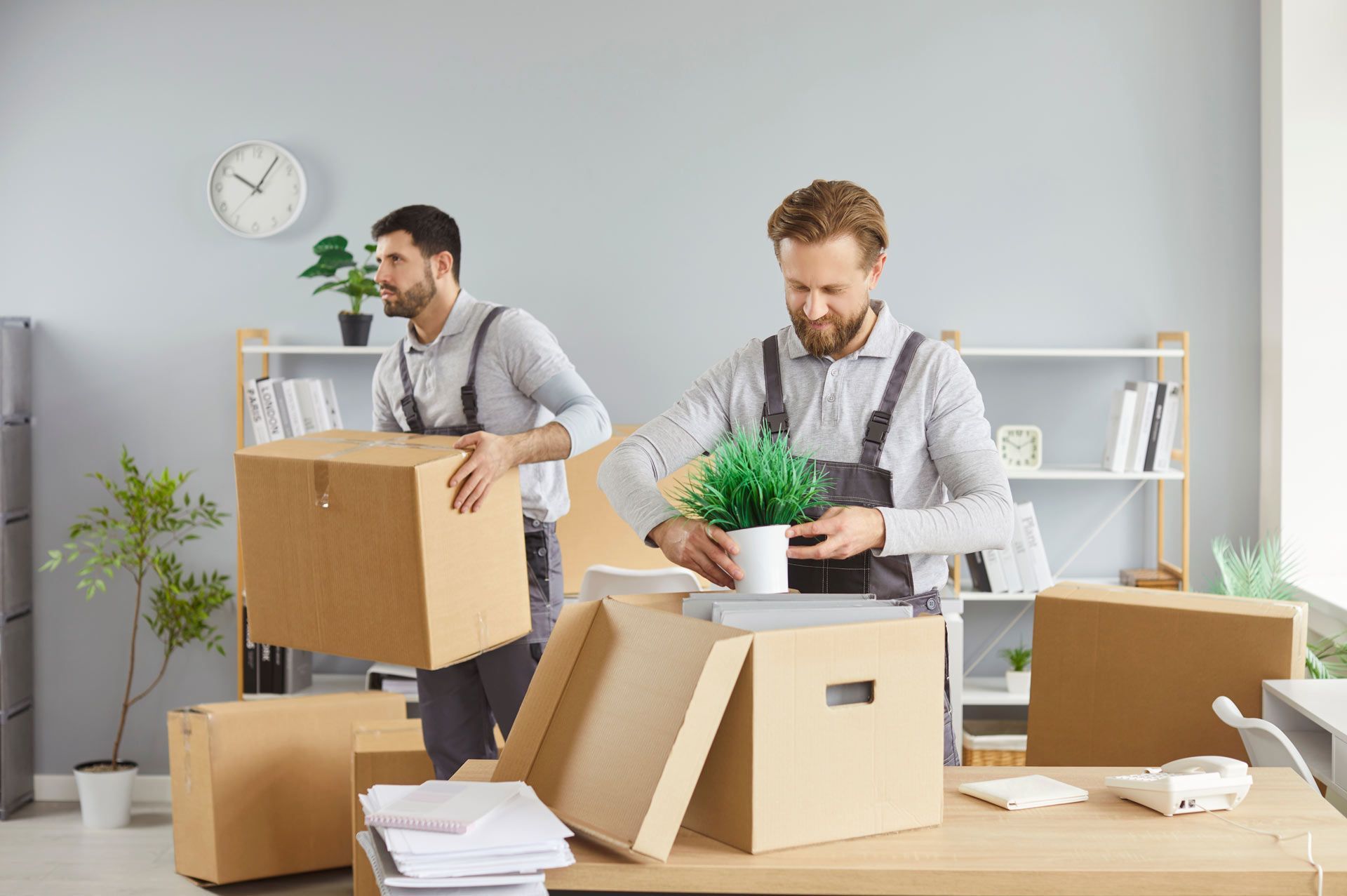Two movers packing boxes in an office. One carries a box, the other places a plant inside.