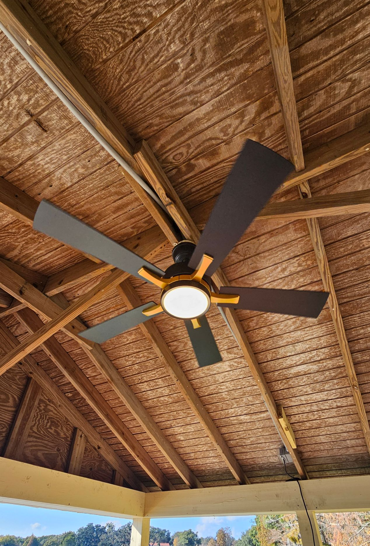 Solar-powered bird feeder attached to a tree trunk in a sunny outdoor setting.