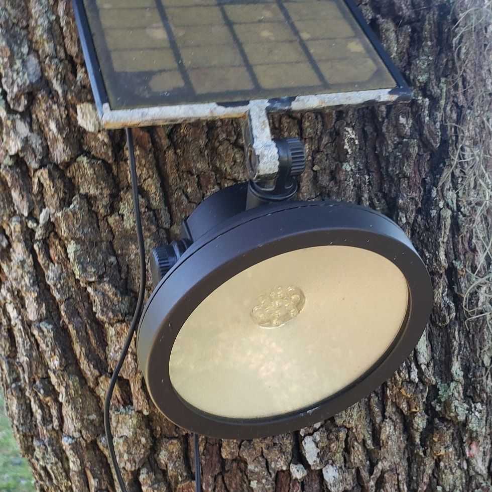 Solar-powered spotlight attached to a tree trunk; black light fixture, silver reflector, and small solar panel.
