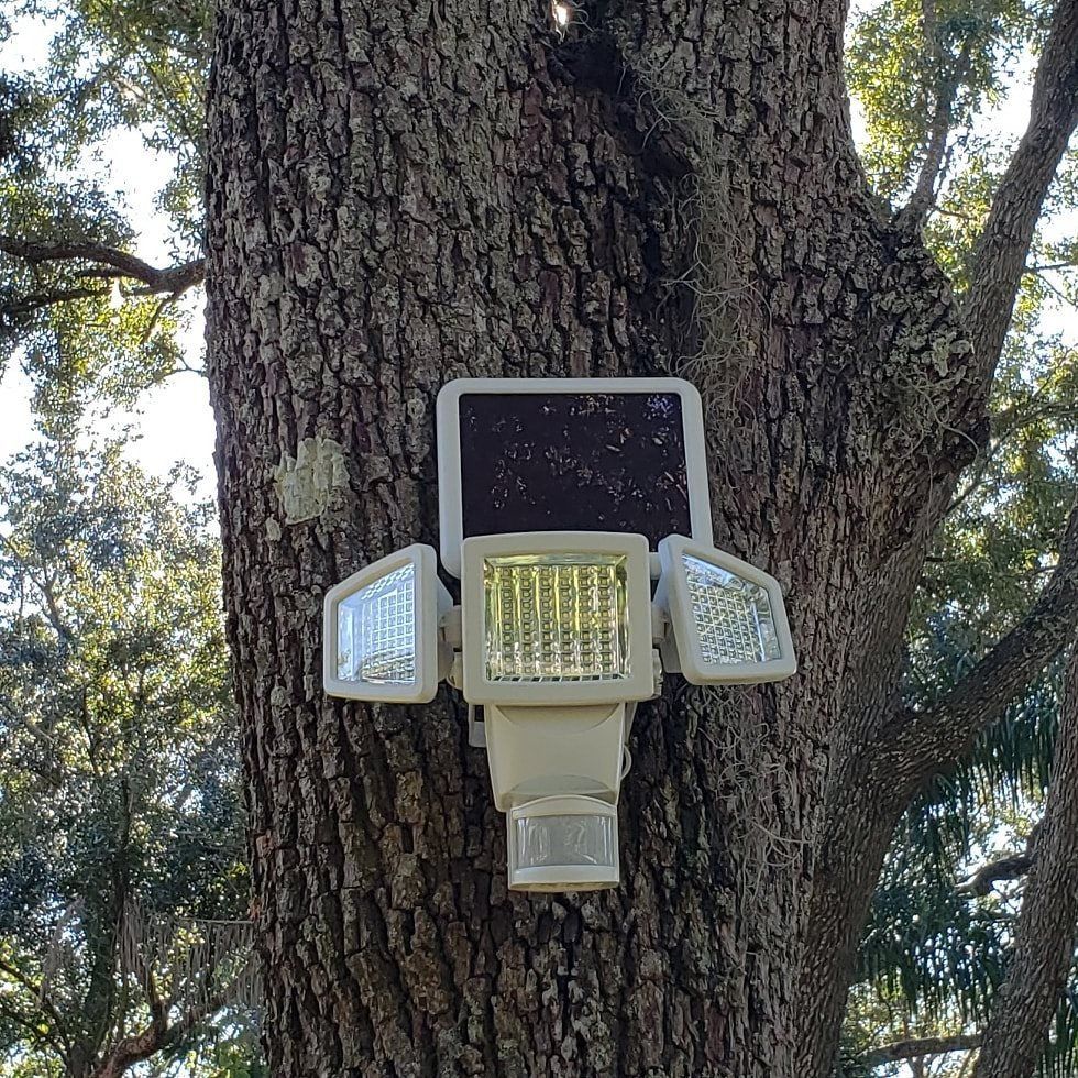 Solar-powered security light with three adjustable panels mounted on a tree trunk.