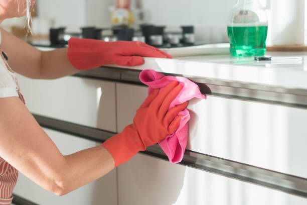 A Woman Is Cleaning A Kitchen Counter With A Cloth And Gloves | Clinton Township, MI | Touch of Class Cleaning