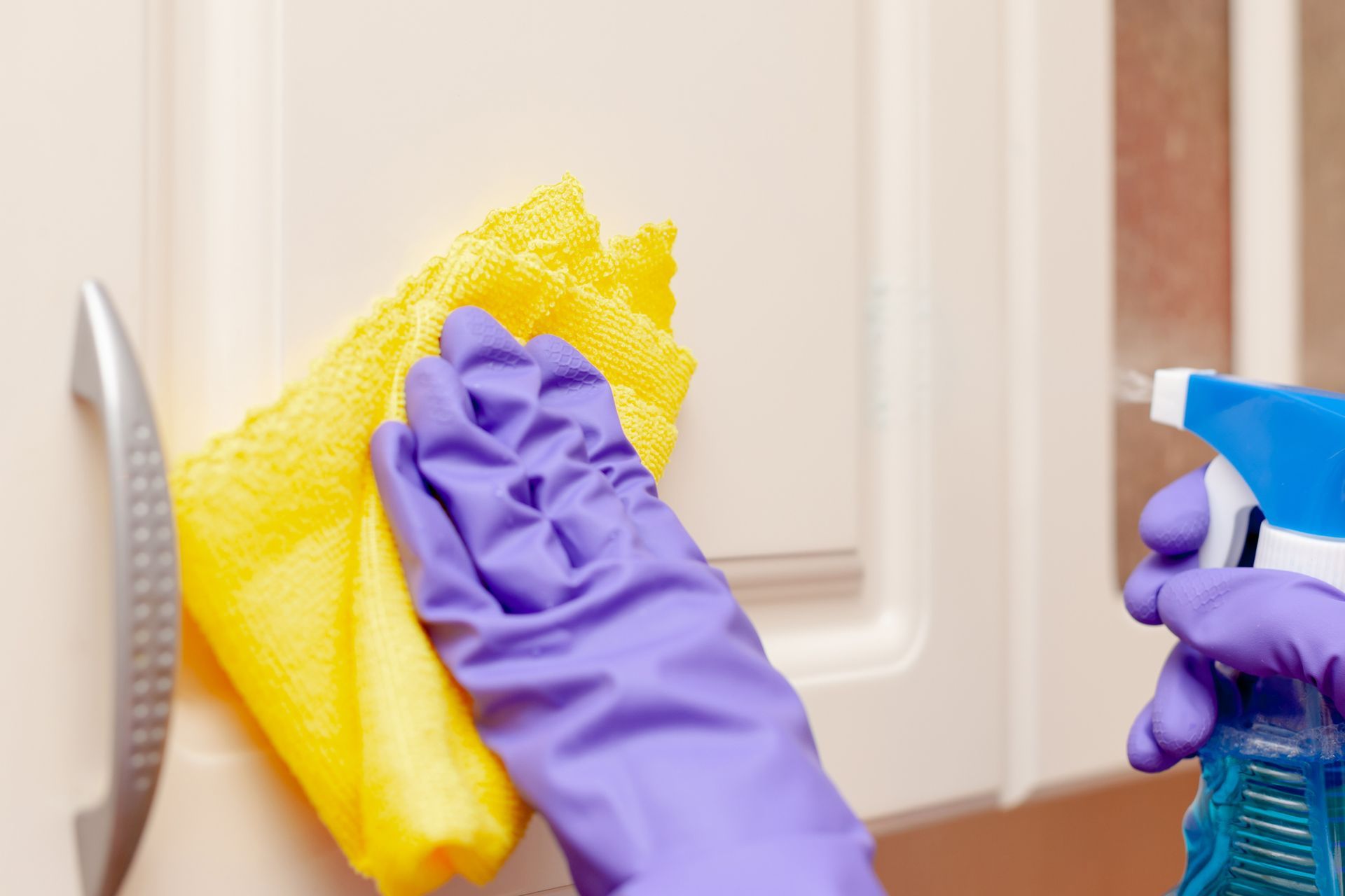 A Person Wearing Purple Gloves | Clinton Township, MI | Touch of Class Cleaning