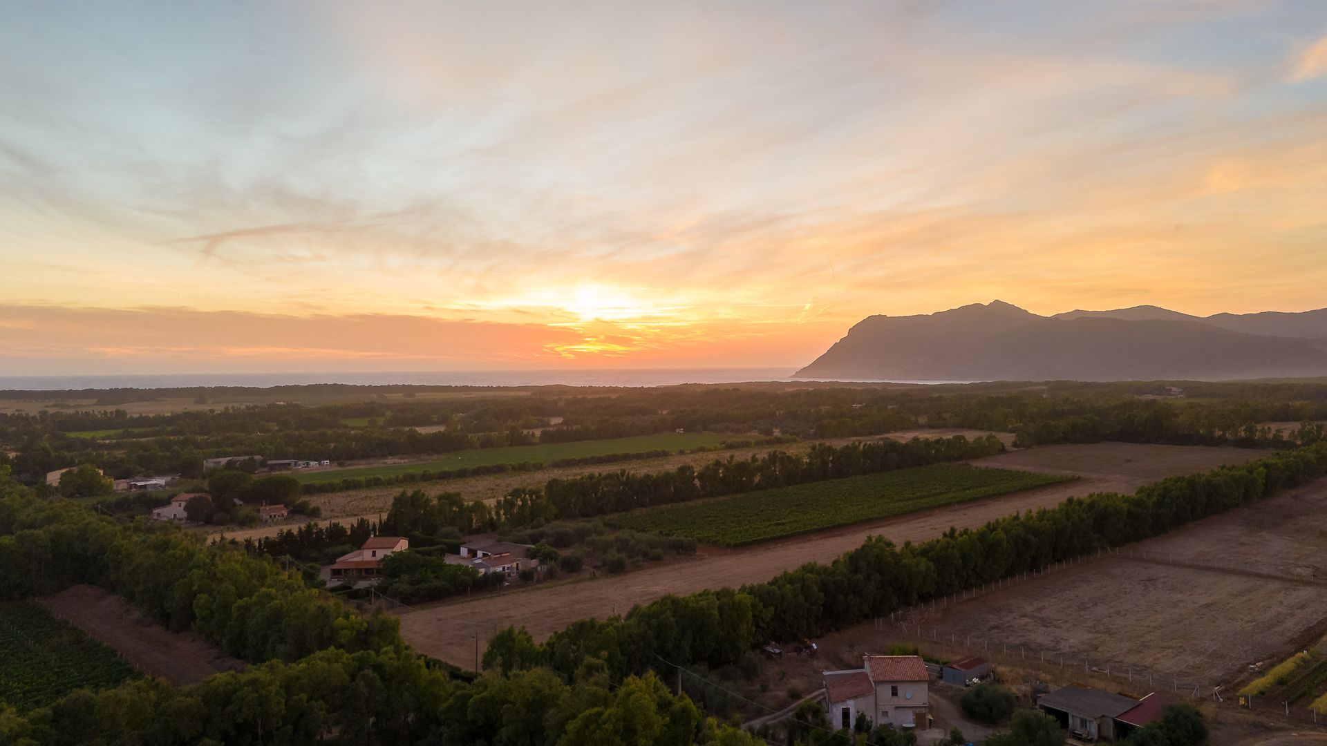 Tramonto su un paesaggio rurale con campi, alberi e il profilo di una montagna. Calde tonalità arancioni e gialle.